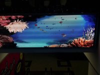 Kdz. Ereğli Ereylin P6mm Led Ekran